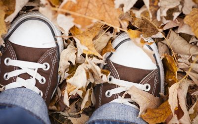 feet, sneakers, leaves, autumn, jeans