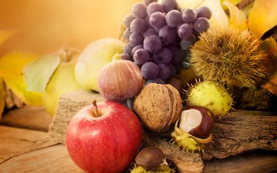 nötter, vindruvor, gänget, äpplen, bär, bräda, löv, höst, frukter, kastanjer