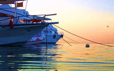 water, sunset, sea, evening, yachts