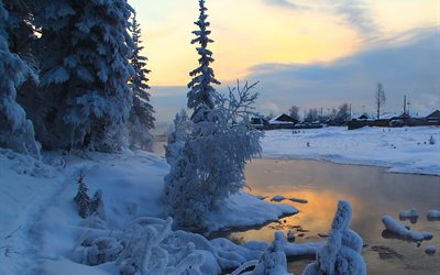 水, 木, 雪, 冬, 風景, 霜