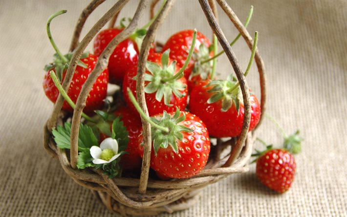 strawberry, berries, branches, food, basket