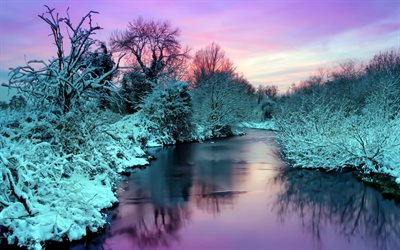 the bushes, snow, frost, winter, water, river, nature, landscape, trees