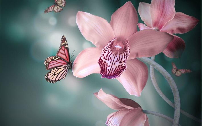 de orquídeas, mariposas, flores, naturaleza