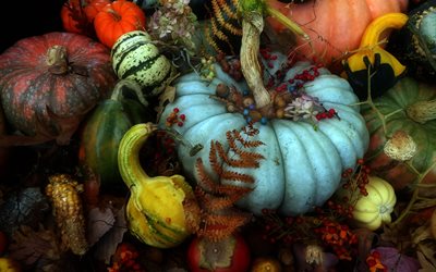 葉, ベリー, ナット, かぼちゃ, 果物, 野菜, 秋