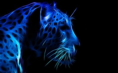 fraktal, djur, grafik, rovdjur, leopard, profil, nosparti