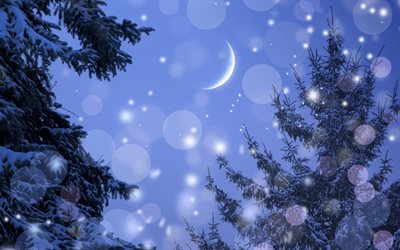 冬, 風景, 夜, 雪, 食べ, 月