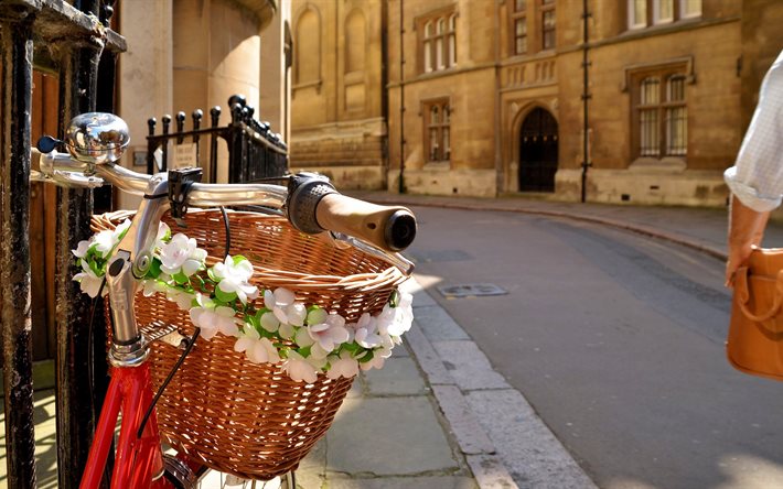 the city, street, home, the fence, bike, basket, flowers
