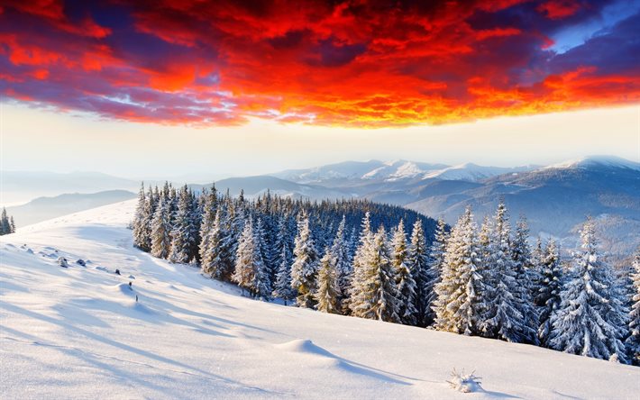 kar, manzara, ağaçlar, kış, gökyüzü, parlayan ate