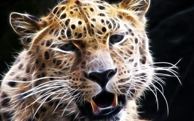 baffi, muso, il leopardo, il predatore, animale, frattale, grafica, occhi