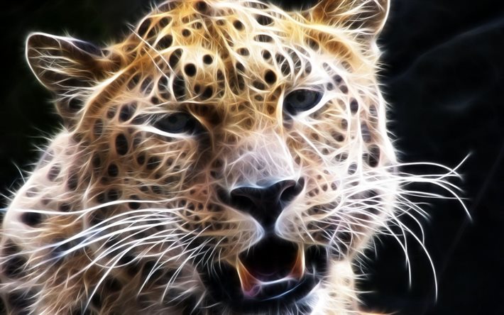 bigode, focinho, leopardo, predador, animal, fractal, gráficos, olhos