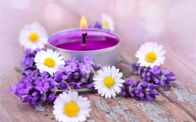 daisy, lavender, flowers, candle, fire, board