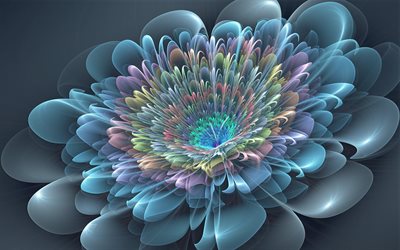 flower, graphics, abstraction