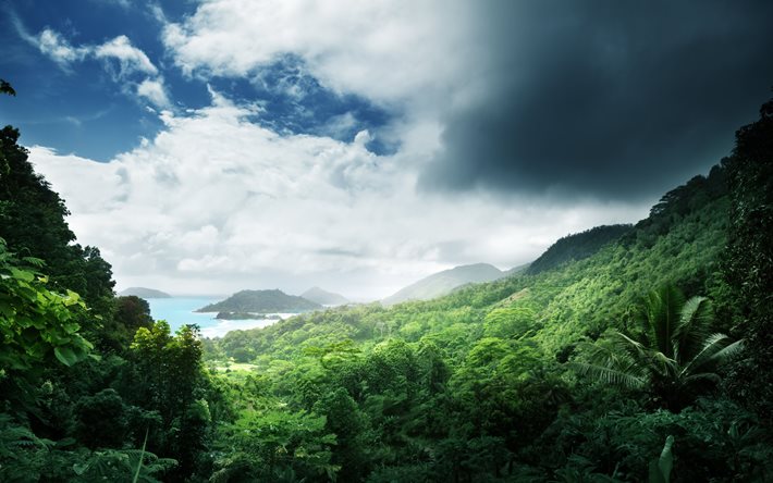 the ocean, hills, mountains, water, jungle, landscape, the sky, nature, clouds