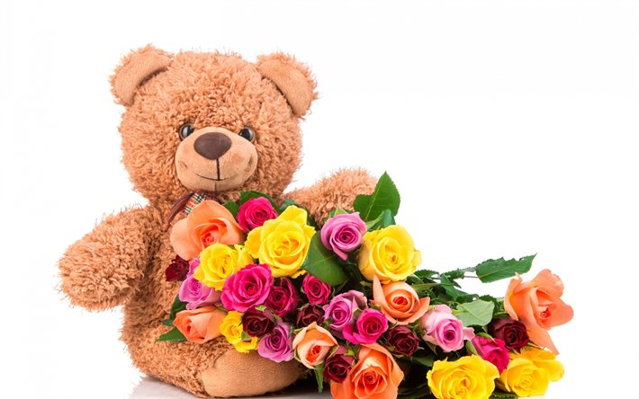 폴란드 장미, 붉은 장미, 노란 장미, bear, 다채로운 꽃, 미, vedmedik