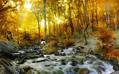 نهر, الخريف, تيار, الغابات, المناظر الطبيعية الخريف, strumok