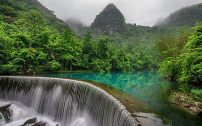 guizhou, china, or county, forest, waterfall, jungle, either