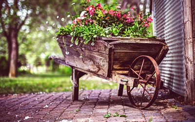 fleurs, camion, chariot en bois
