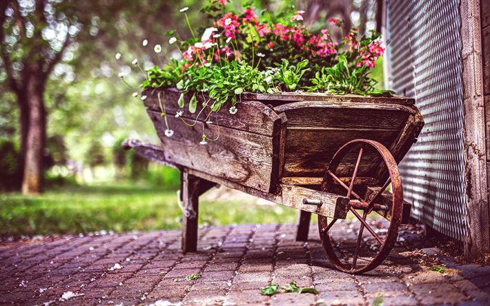 花, トラック, 木製のカート