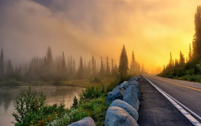 estrada, nevoeiro, floresta, manhã, paisagem matinal