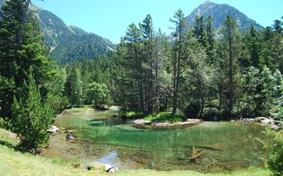 forest, river, mountains, summer, the spanish pyrenees