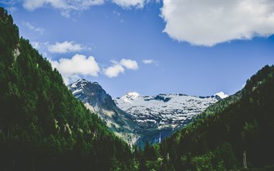 Alpes, cielo azul, montañas, colinas, bosques