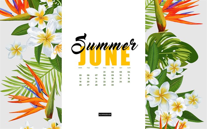 4k, juni kalender 2023, blommig akvarell sommar bakgrund, 2023 sommarkalendrar, akvarell tropiska växter, juni 2023 kalender, 2023 koncept, juni, sommar bakgrund