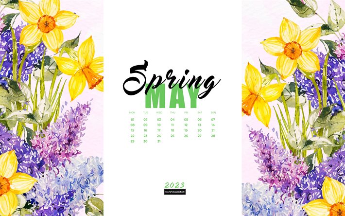 4k, calendrier de mai 2023, fond de printemps aquarelle floral, calendriers de printemps 2023, fleurs aquarelles, calendrier mai 2023, concepts 2023, peut, fond de printemps