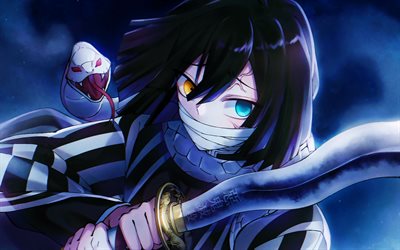 obanai iguro, nuit, kimetsu no yaiba, kimono, hétérochromie, manga, protagoniste, iguro obanai, hashira serpent, tube de démon, obanai iguro kimetsu no yaiba