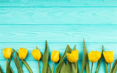 4k, gelbe tulpen, blauer holzhintergrund, frühlingsblumen, schöne blumen, blumenrahmen, tulpen, frühling, hintergrund mit tulpen