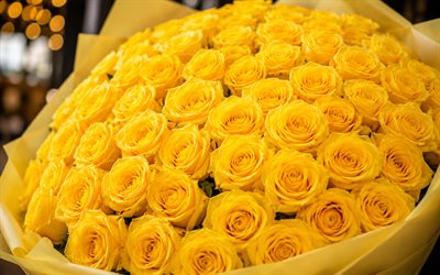 rosas amarillas, 4k, bokeh, ramo de rosas, hermosas flores, cogollos amarillos, fondo con rosas, flores amarillas, rosas
