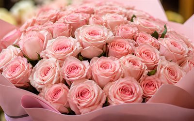 rosas rosadas, 4k, bokeh, ramo de rosas, papel rosa, hermosas flores, capullos rosados, fondo con rosas, flores rosadas, rosas