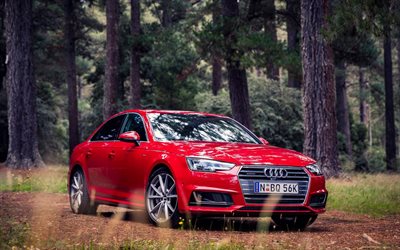 Audi A4, sedanes, 2016, bosque, rojo audi