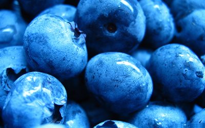 ब्लू बैरीज़, मैक्रो, पके जामुन, बड़े जामुन, ब्लूबेरी के साथ पृष्ठभूमि, खाद्य बनावट, ब्लूबेरी बनावट, जामुन बनावट