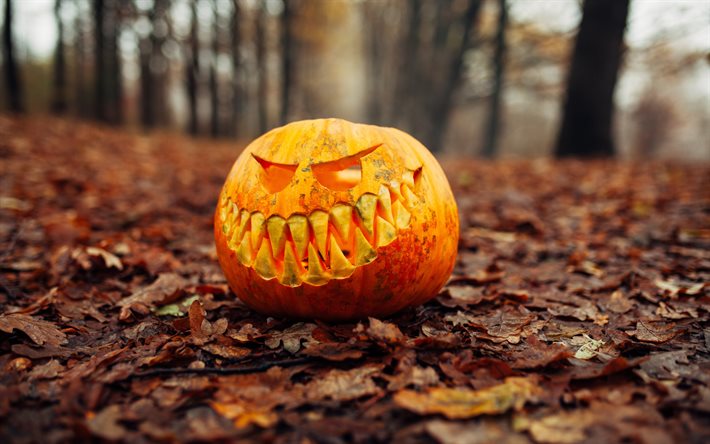 halloween, höst, pumpa med ansikte, höstlöv, gör pumpor för halloween, park, skog, halloween semester