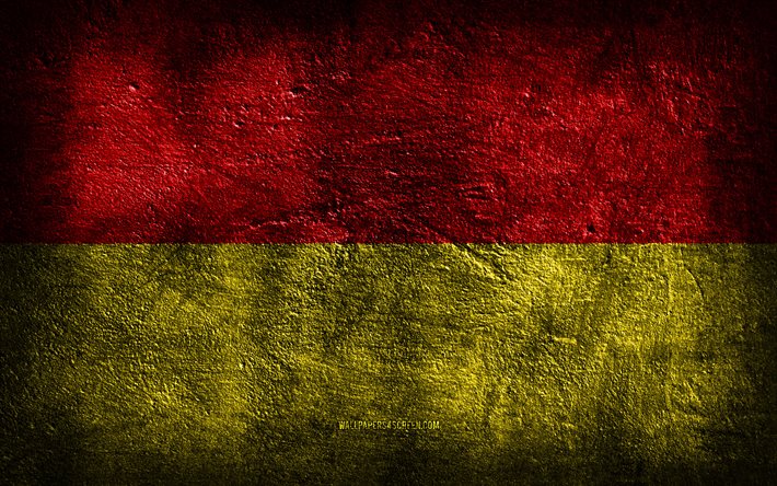 4k, 파더보른 깃발, 독일 도시, 돌 질감, 파더보른의 국기, 돌 배경, 파더보른의 날, 그런지 아트, 독일 국가 상징, 파더보른, 독일