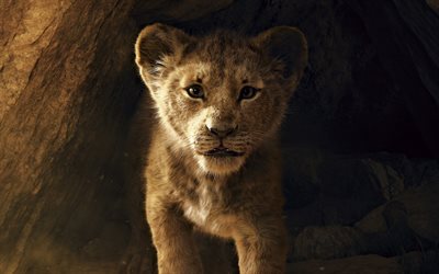 4k, little lion cub, predator, little lion, wild cats, lions, wildlife, wild animals, Africa