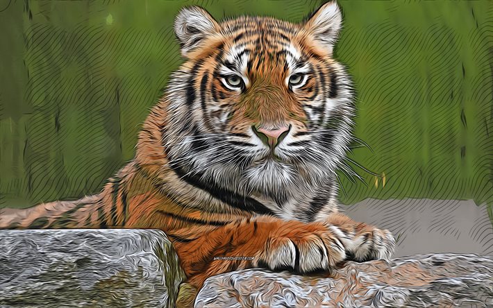 4k, 虎, 捕食者, 虎を描いた, ベクトル アート, 虎写真, 虎の絵, 危険な動物, アフリカ