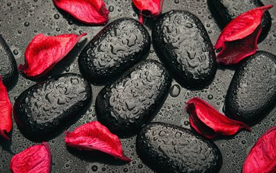 svarta stenar, 4k, rosenblad, spa