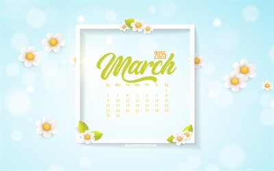 calendario di marzo 2025, 4k, sfondi primaverili, margherite, 2025 concetti, marzo, sfondo con margherite