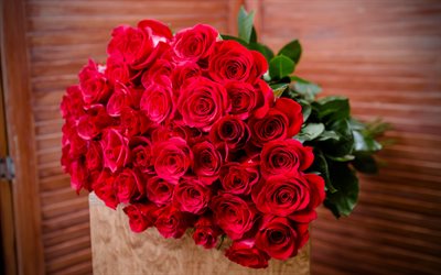 4k, red roses, close-up, bouquet of roses, beautiful flowers, red bouquet, roses, brides bouquet, background with roses