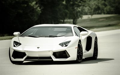 supercars, 2015, Lamborghini Aventador, blur, white aventador