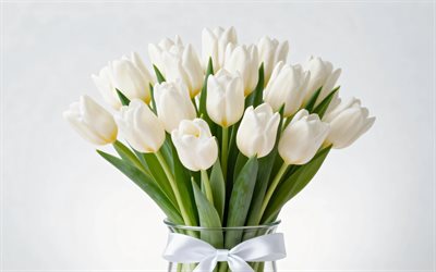 الزنبق الأبيض, 4k, تقليلية, عن قرب, مزهرية زجاجية, خلفية بيضاء, زهور الربيع, باقة من زهور التوليب, زهور جميلة, القوس الأبيض, ربيع, الخلفية مع زهور التوليب, زهور بيضاء, زهور التوليب