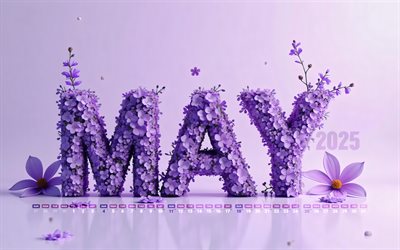 4k, 2025 May Calendar, lavander 3D letters, May 2025, violet backgrounds, spring calendars, May 2025 Calendar, lavander, 2025 concepts, May calendars, violet 3D flowers, 2025 calendars, May