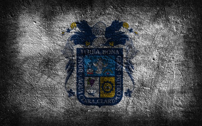 4k, Aguascalientes flag, Mexican state, stone texture, Flag of Aguascalientes, stone background, Day of Aguascalientes, grunge art, Aguascalientes state, Mexican national symbols, Aguascalientes, Mexico