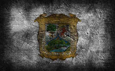 4k, coahuilan lippu, meksikon osavaltio, kivirakenne, kivi tausta, coahuilan päivä, grunge-taide, coahuilan osavaltio, meksikon kansallissymbolit, coahuila, meksiko