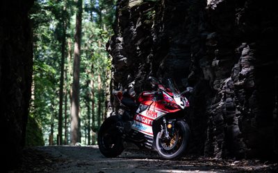 ドゥカティ パニガーレ 899, 外観, 正面図, レーシングバイク, 赤パニガーレ 899, イタリアのスポーツバイク, ドゥカティ