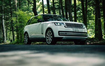 Range Rover Autobiography, 4k, forest, 2022 cars, L460, White Range Rover Autobiography, SUVs, luxury cars, Range Rover