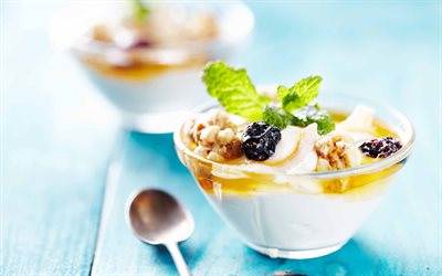 grekisk yoghurt med müsli, frukost, bär, mejeriprodukter, grekisk yoghurt, frukostkoncept, tallrik med yoghurt