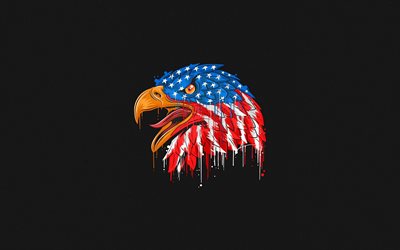 4k, kel kartal, minimalizm, abd sembolü, amerikan bayrağı, kuzey amerika kuşları, soyut kel kartal, yaratıcı, amerikan sembolü, haliaeetus leucocephalus, şahin