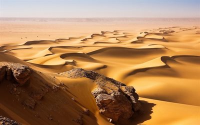 deserto, lo zucchero, le dune, la sabbia, il calore